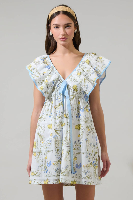 Cecily Floral Mini Babydoll Dress
