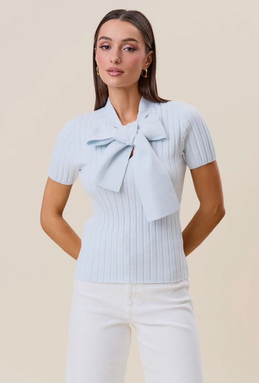 Tie Neck Ribbed Sweater Top