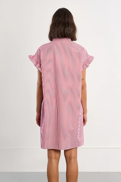 The Reagan Stripe Dress