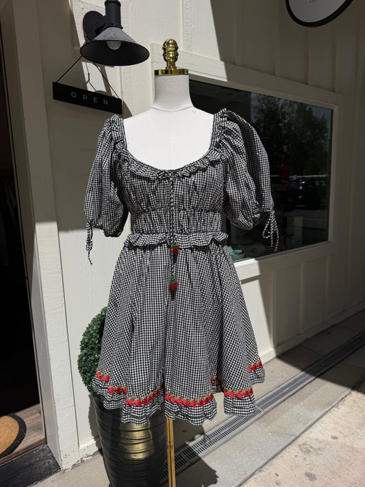 Strawberry Fields Gingham Dress