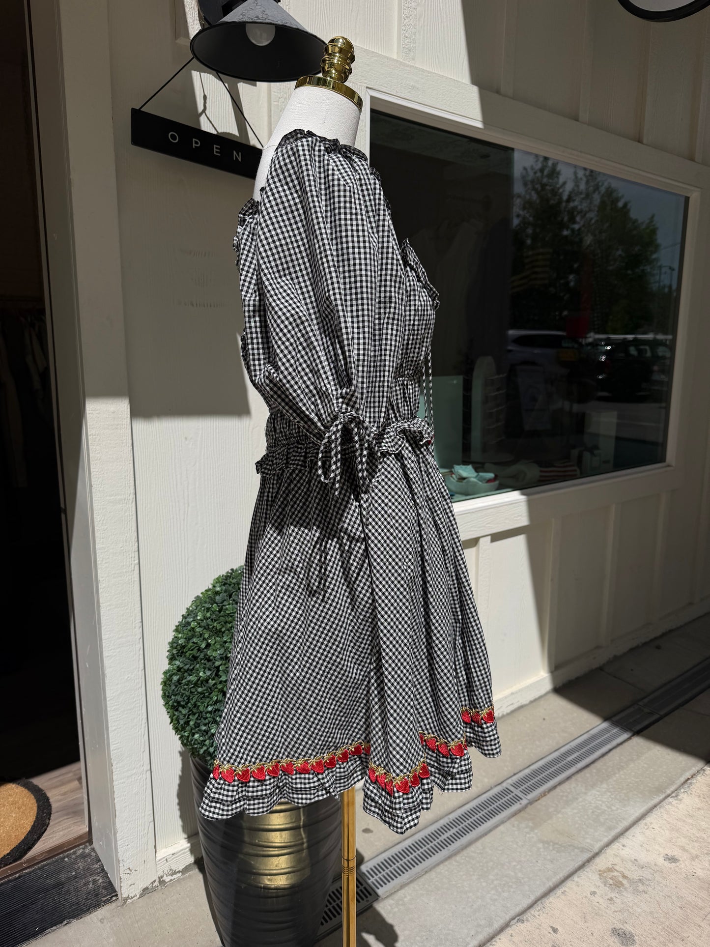 Strawberry Fields Gingham Dress