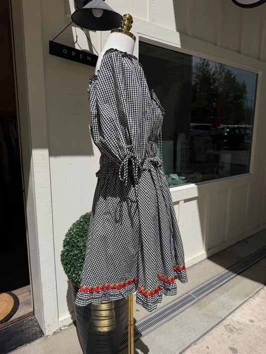 Strawberry Fields Gingham Dress