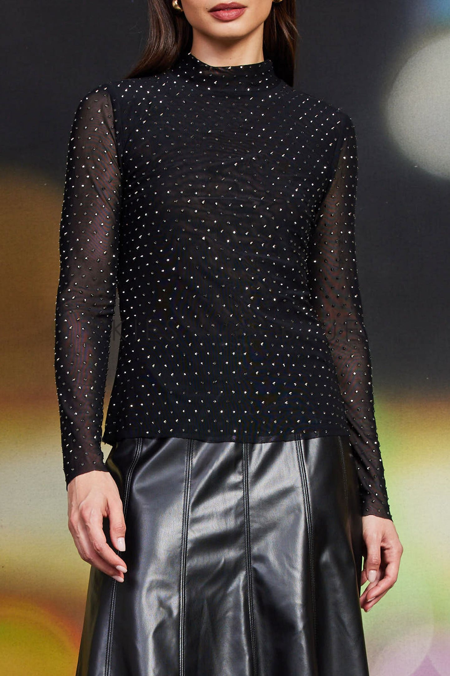 Stardust Sheer Mock Neck Top